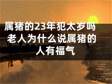 属猪的23年犯太岁吗 老人为什么说属猪的人有福气