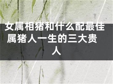 女属相猪和什么配最佳 属猪人一生的三大贵人