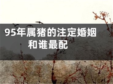 95年属猪的注定婚姻 和谁最配 