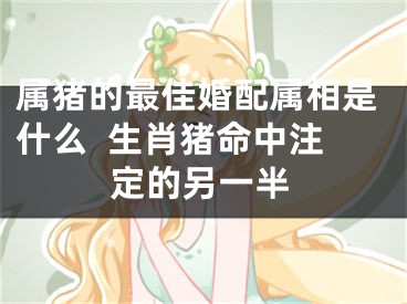 属猪的最佳婚配属相是什么  生肖猪命中注定的另一半