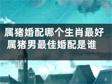属猪婚配哪个生肖最好 属猪男最佳婚配是谁