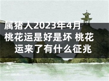 属猪人2023年4月桃花运是好是坏 桃花运来了有什么征兆