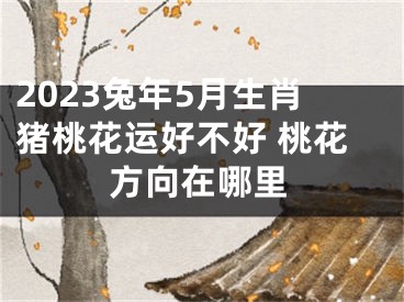 2023兔年5月生肖猪桃花运好不好 桃花方向在哪里