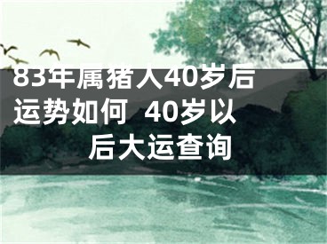 83年属猪人40岁后运势如何  40岁以后大运查询