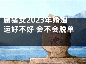 属猪女2023年婚姻运好不好 会不会脱单 