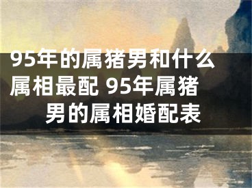 95年的属猪男和什么属相最配 95年属猪男的属相婚配表