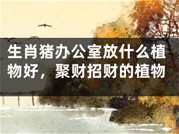 生肖猪办公室放什么植物好，聚财招财的植物