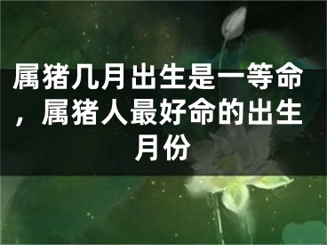 属猪几月出生是一等命，属猪人最好命的出生月份