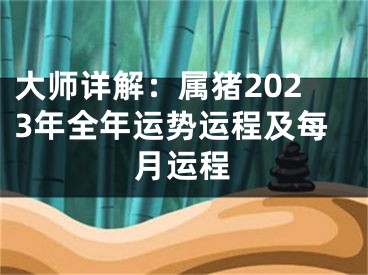 大师详解：属猪2023年全年运势运程及每月运程