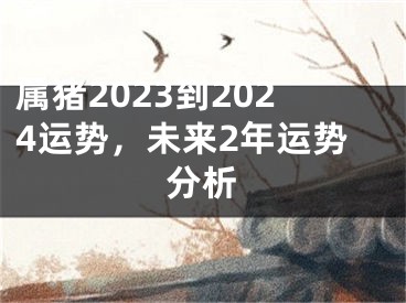 属猪2023到2024运势，未来2年运势分析