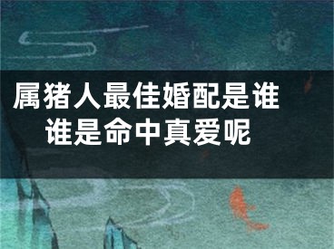 属猪人最佳婚配是谁 谁是命中真爱呢 