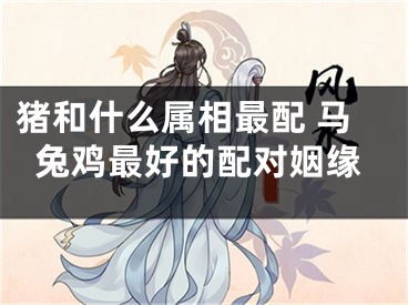 猪和什么属相最配 马兔鸡最好的配对姻缘
