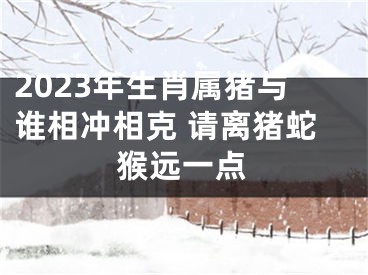 2023年生肖属猪与谁相冲相克 请离猪蛇猴远一点