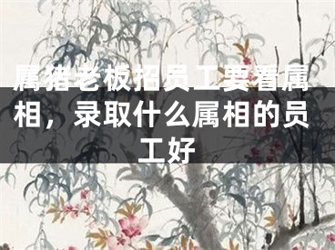 属猪老板招员工要看属相，录取什么属相的员工好