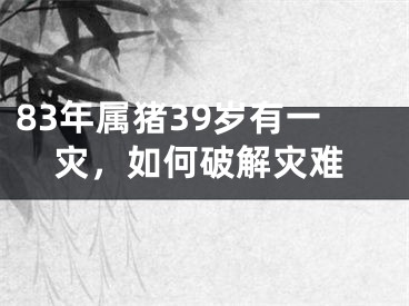 83年属猪39岁有一灾，如何破解灾难