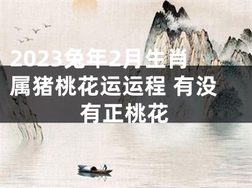 2023兔年2月生肖属猪桃花运运程 有没有正桃花