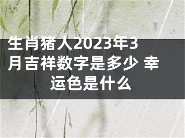 生肖猪人2023年3月吉祥数字是多少 幸运色是什么