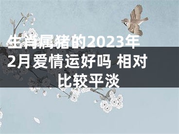 生肖属猪的2023年2月爱情运好吗 相对比较平淡