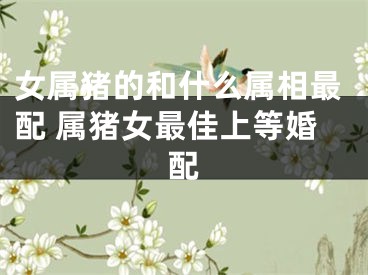 女属猪的和什么属相最配 属猪女最佳上等婚配