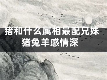 猪和什么属相最配兄妹 猪兔羊感情深