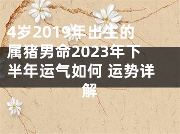 4岁2019年出生的属猪男命2023年下半年运气如何 运势详解