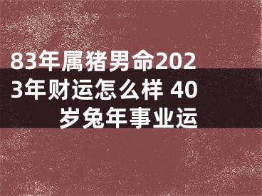 83年属猪男命2023年财运怎么样 40岁兔年事业运