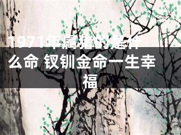 1971年属猪的是什么命 钗钏金命一生幸福