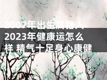 2007年出生属猪人2023年健康运怎么样 精气十足身心康健