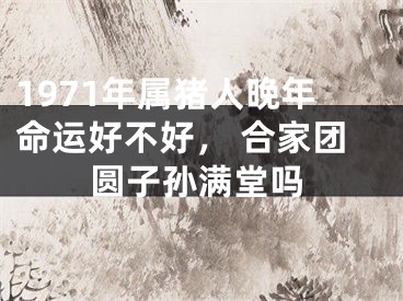 1971年属猪人晚年命运好不好， 合家团圆子孙满堂吗