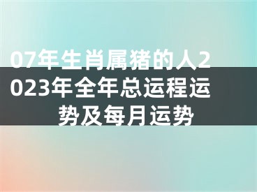 07年生肖属猪的人2023年全年总运程运势及每月运势