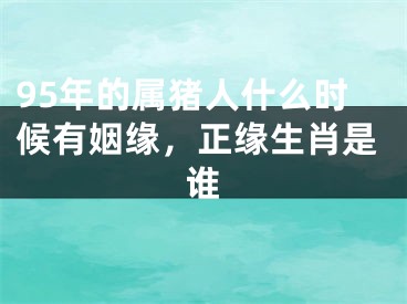 95年的属猪人什么时候有姻缘，正缘生肖是谁