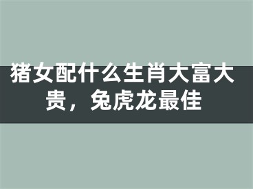 猪女配什么生肖大富大贵，兔虎龙最佳