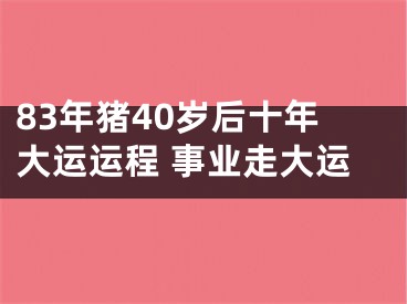83年猪40岁后十年大运运程 事业走大运