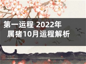 第一运程 2022年属猪10月运程解析