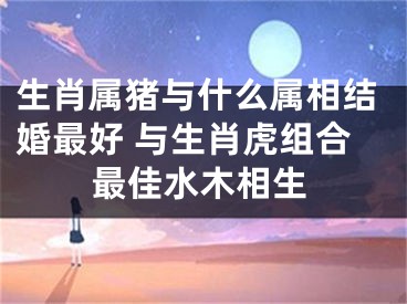 生肖属猪与什么属相结婚最好 与生肖虎组合最佳水木相生