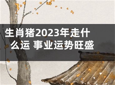 生肖猪2023年走什么运 事业运势旺盛
