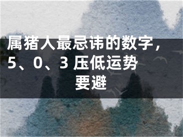 属猪人最忌讳的数字，5、0、3 压低运势要避