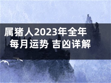 属猪人2023年全年每月运势 吉凶详解