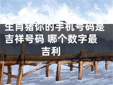 生肖猪你的手机号码是吉祥号码 哪个数字最吉利 
