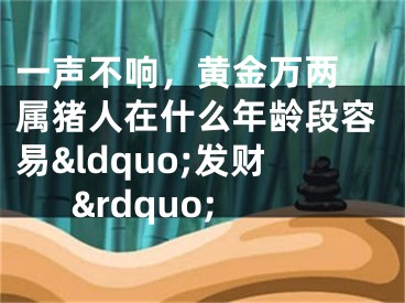 一声不响，黄金万两 属猪人在什么年龄段容易&ldquo;发财&rdquo;