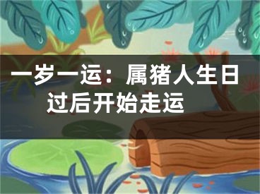 一岁一运：属猪人生日过后开始走运 
