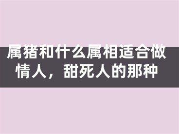 属猪和什么属相适合做情人，甜死人的那种