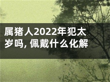 属猪人2022年犯太岁吗, 佩戴什么化解