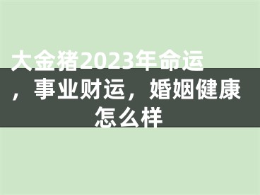 大金猪2023年命运，事业财运，婚姻健康怎么样