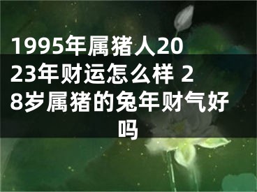 1995年属猪人2023年财运怎么样 28岁属猪的兔年财气好吗