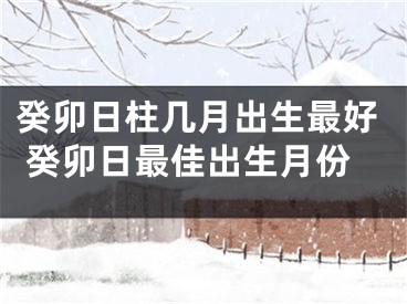 癸卯日柱几月出生最好 癸卯日最佳出生月份