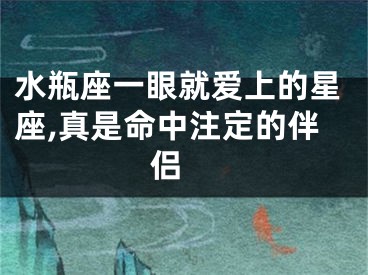 水瓶座一眼就爱上的星座,真是命中注定的伴侣 