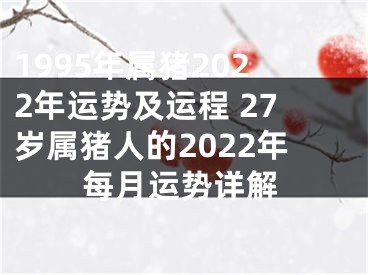 1995年属猪2022年运势及运程 27岁属猪人的2022年每月运势详解