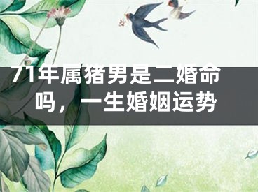 71年属猪男是二婚命吗，一生婚姻运势