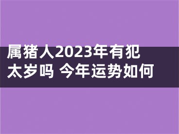属猪人2023年有犯太岁吗 今年运势如何